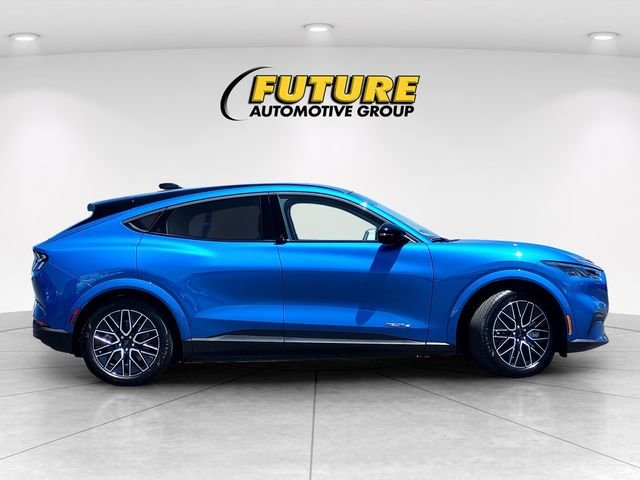 Used 2025 Blue Ford Premium image 3