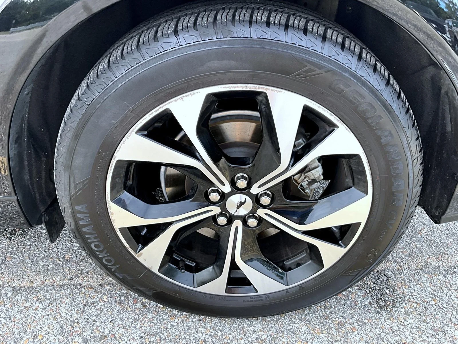 Used 2023 White Ford Premium image 24