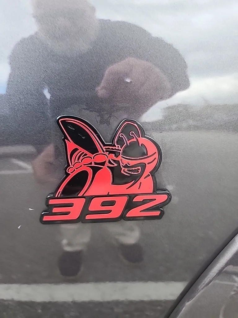 Photo 19