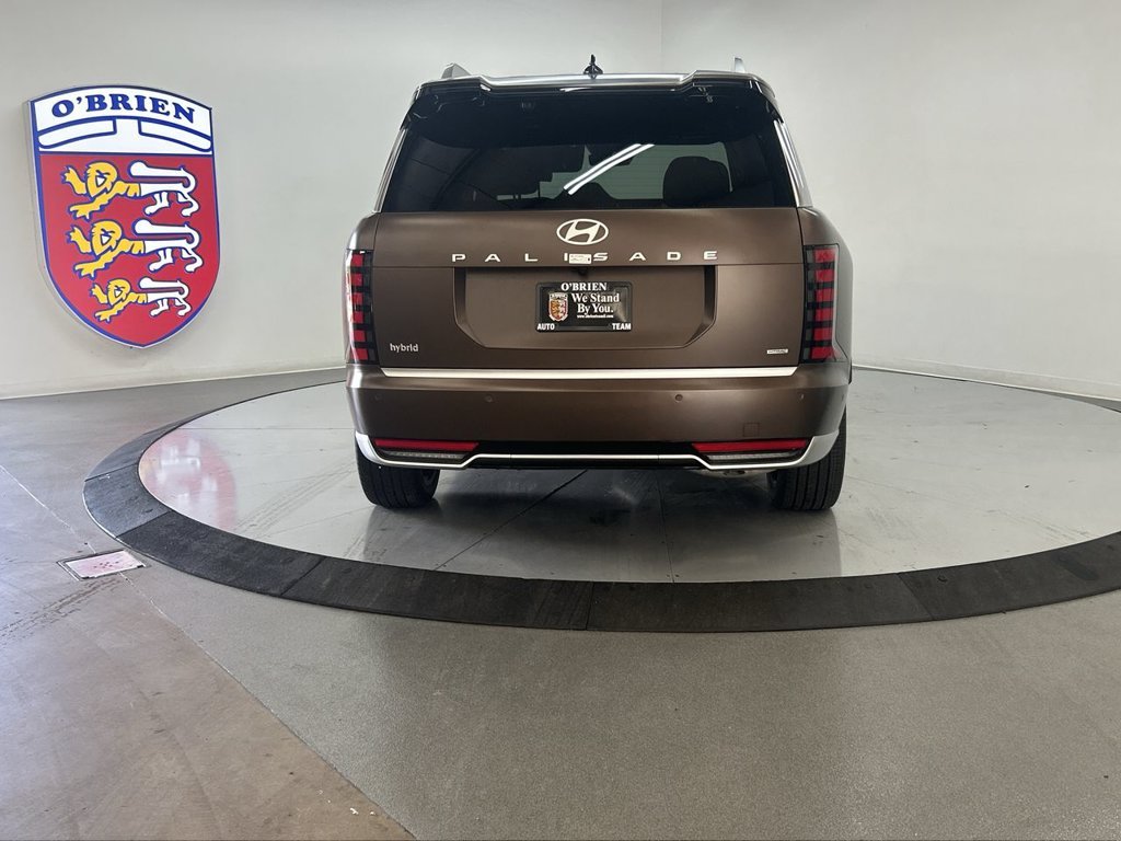 New 2026 Earthy Brass Matte Hyundai Calligraphy image 11