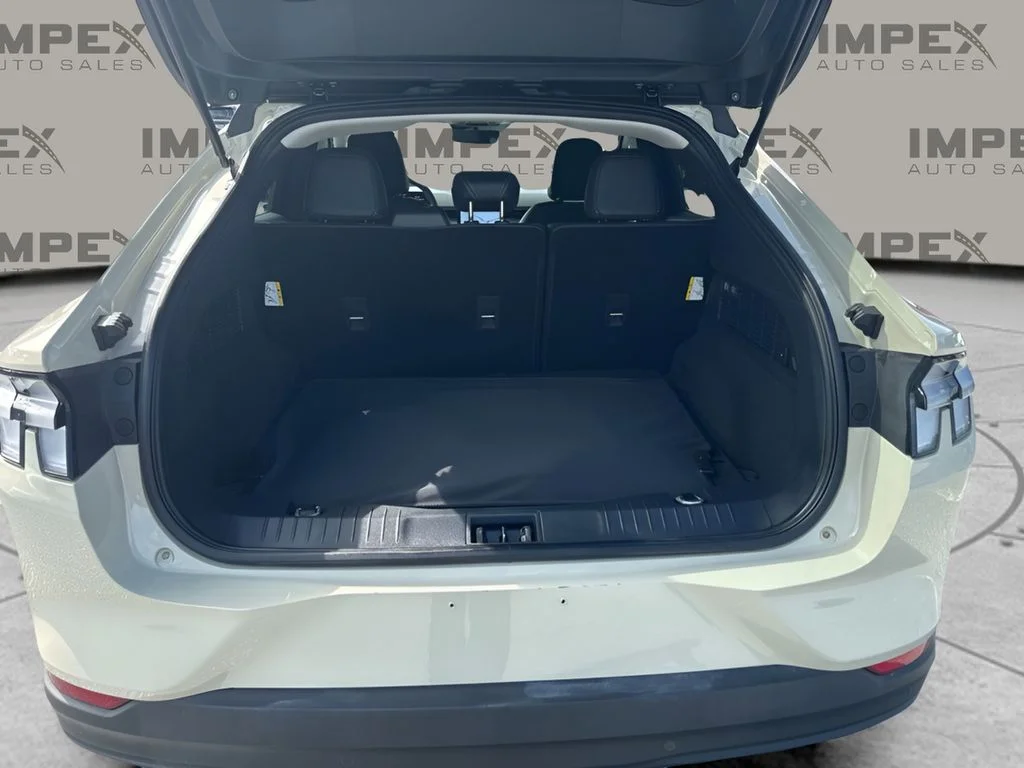 Used 2025 Beige Ford Select image 17