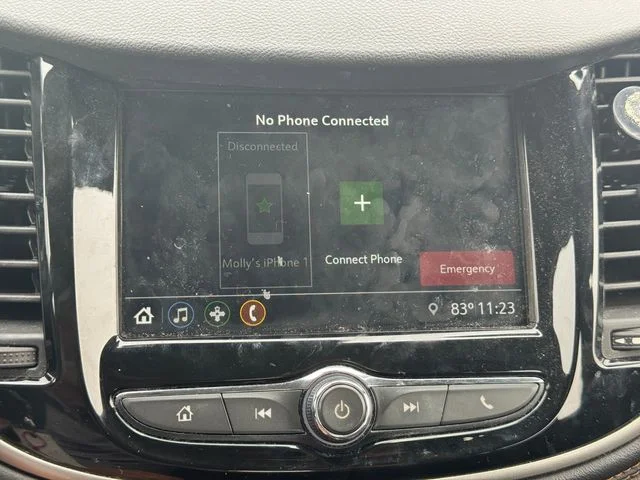 Used 2019 Black Chevrolet LS image 31