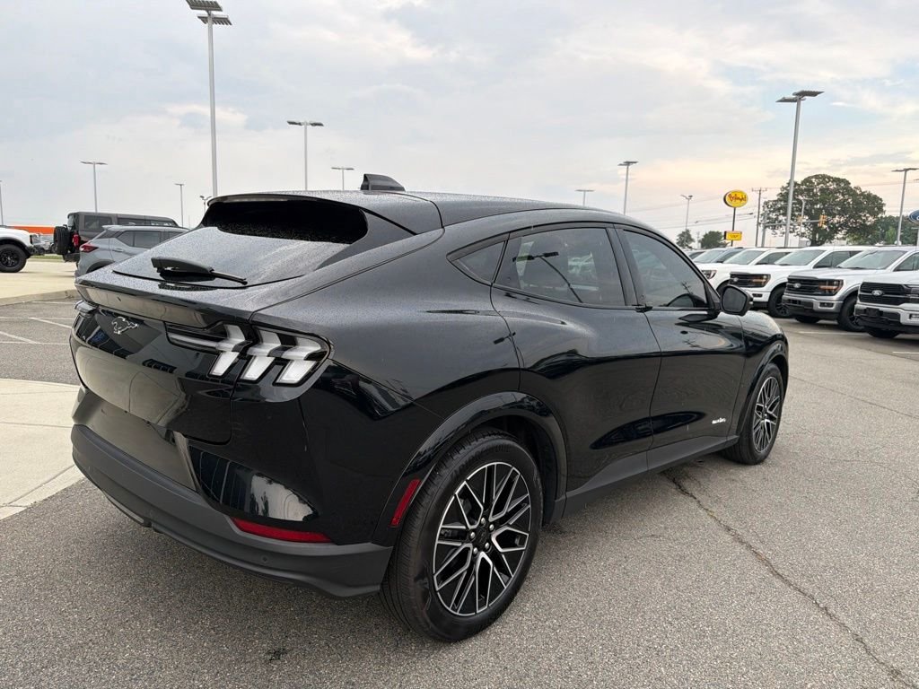 Used 2025 Shadow Black Ford Premium image 4