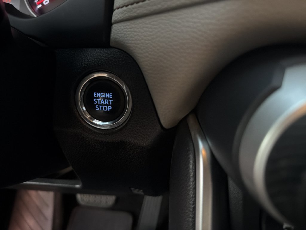 2019 Toyota RAV4 XLE Premium - Photo 15