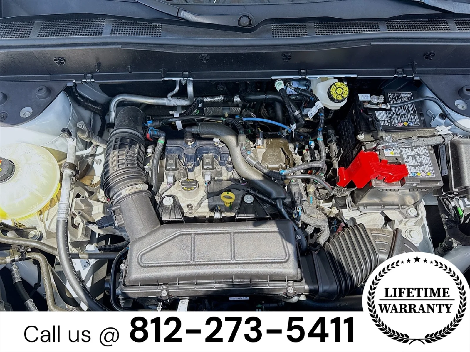 Used 2025 Oxford White Ford Free Wheeling image 29