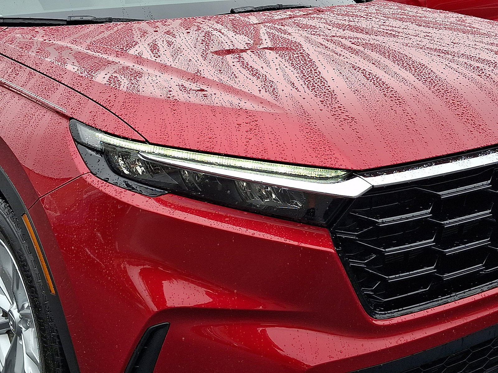 Used 2024 Red Honda EX-L image 8