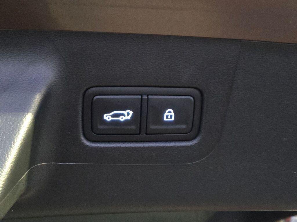 New 2026 Earthy Brass Matte Hyundai Calligraphy image 17