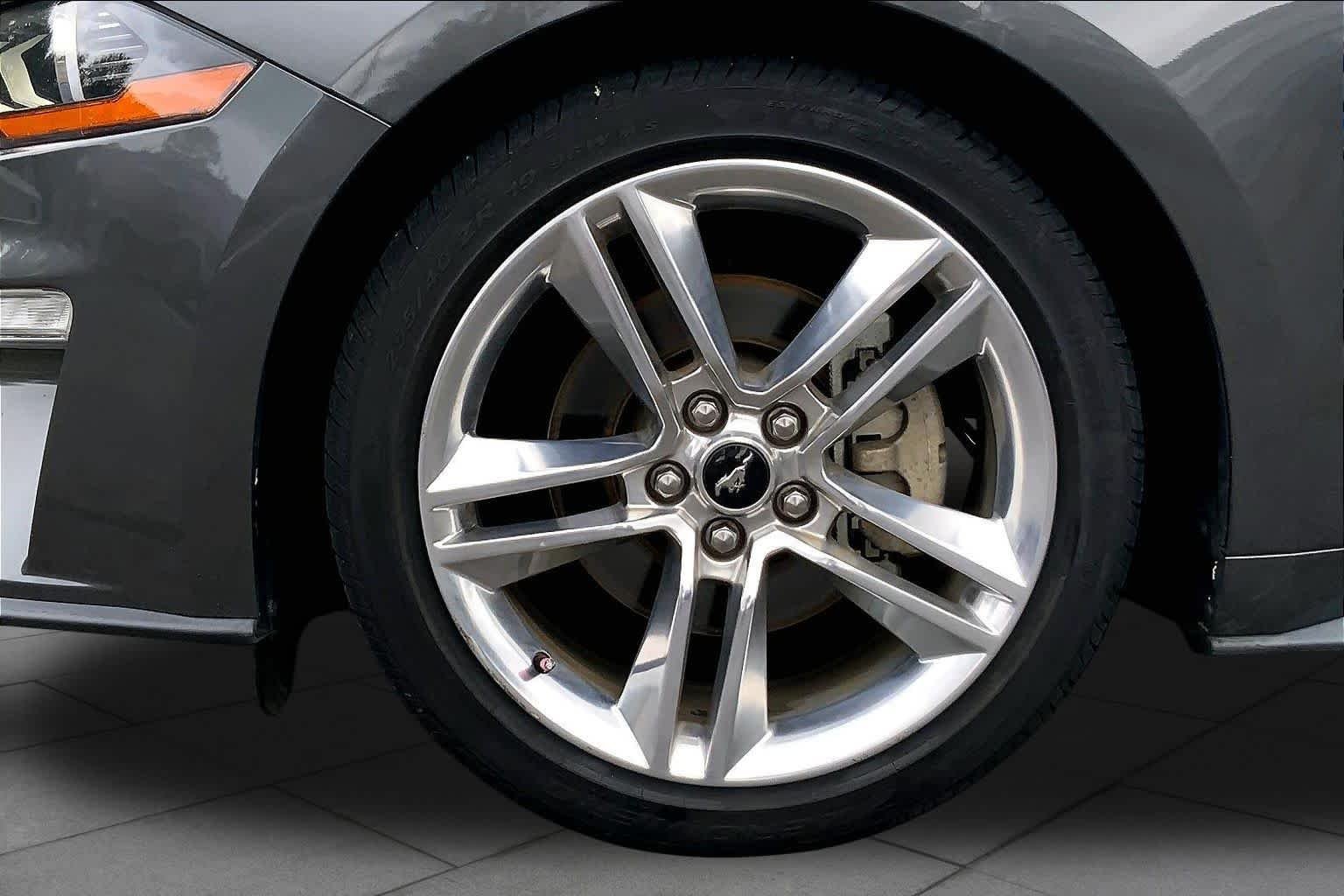 Used 2019 Magnetic Ford EcoBoost Premium image 9
