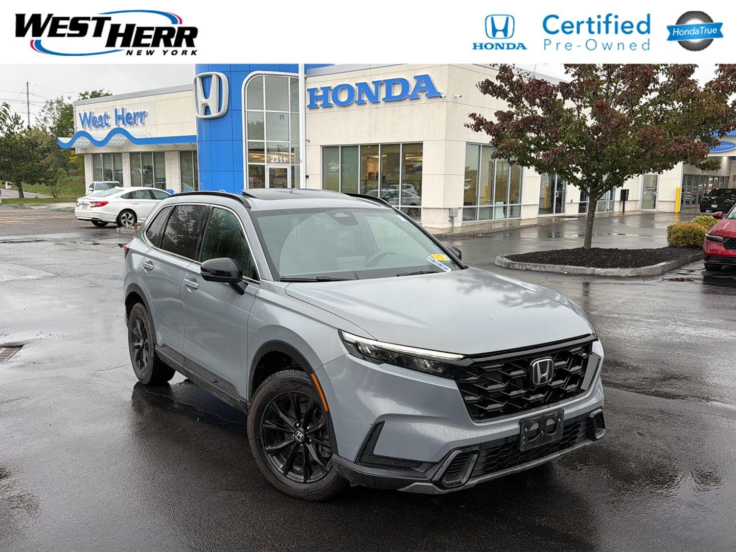 Used 2024 Urban Gray Pearl Honda Sport image 1