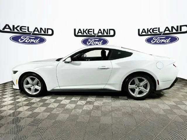 New 2026 White Ford EcoBoost image 6