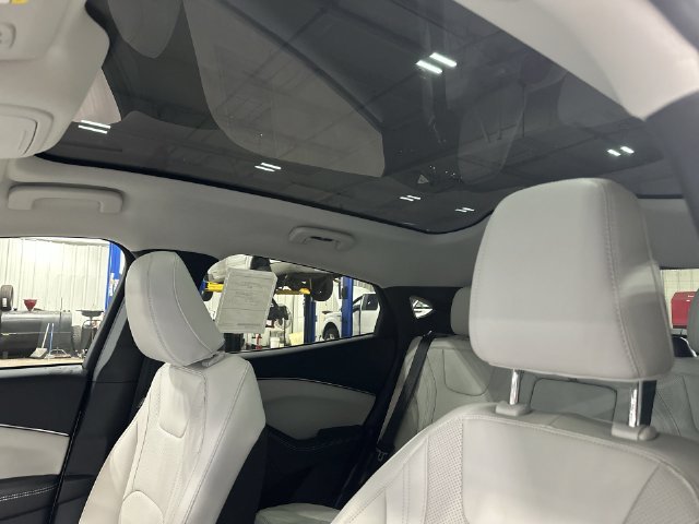 New 2026 White Ford Premium image 20