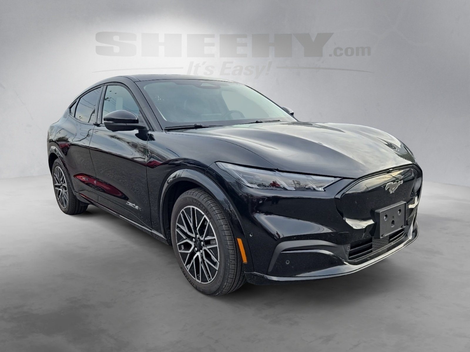 Certified 2024 Ford Mustang Mach-E Premium AWD with VIN 3FMTK3SU7RMA19305 for sale in Richmond, VA