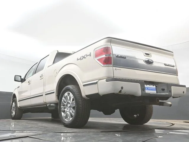 Used 2009  Ford Platinum image 43