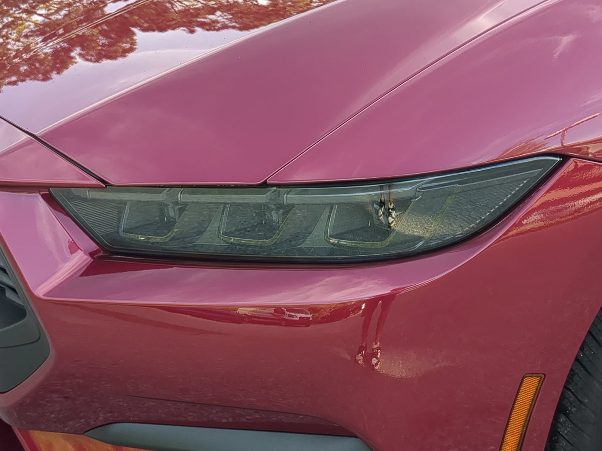 New 2026 Molten Magenta Metallic Tinted Clearcoat Ford EcoBoost® Fastback image 41