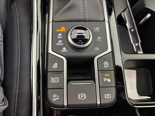 New 2026 Silver Kia X-Line SX Prestige image 28