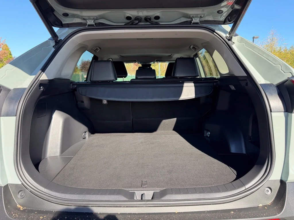 Used 2019 Lunar Toyota XLE Premium image 11