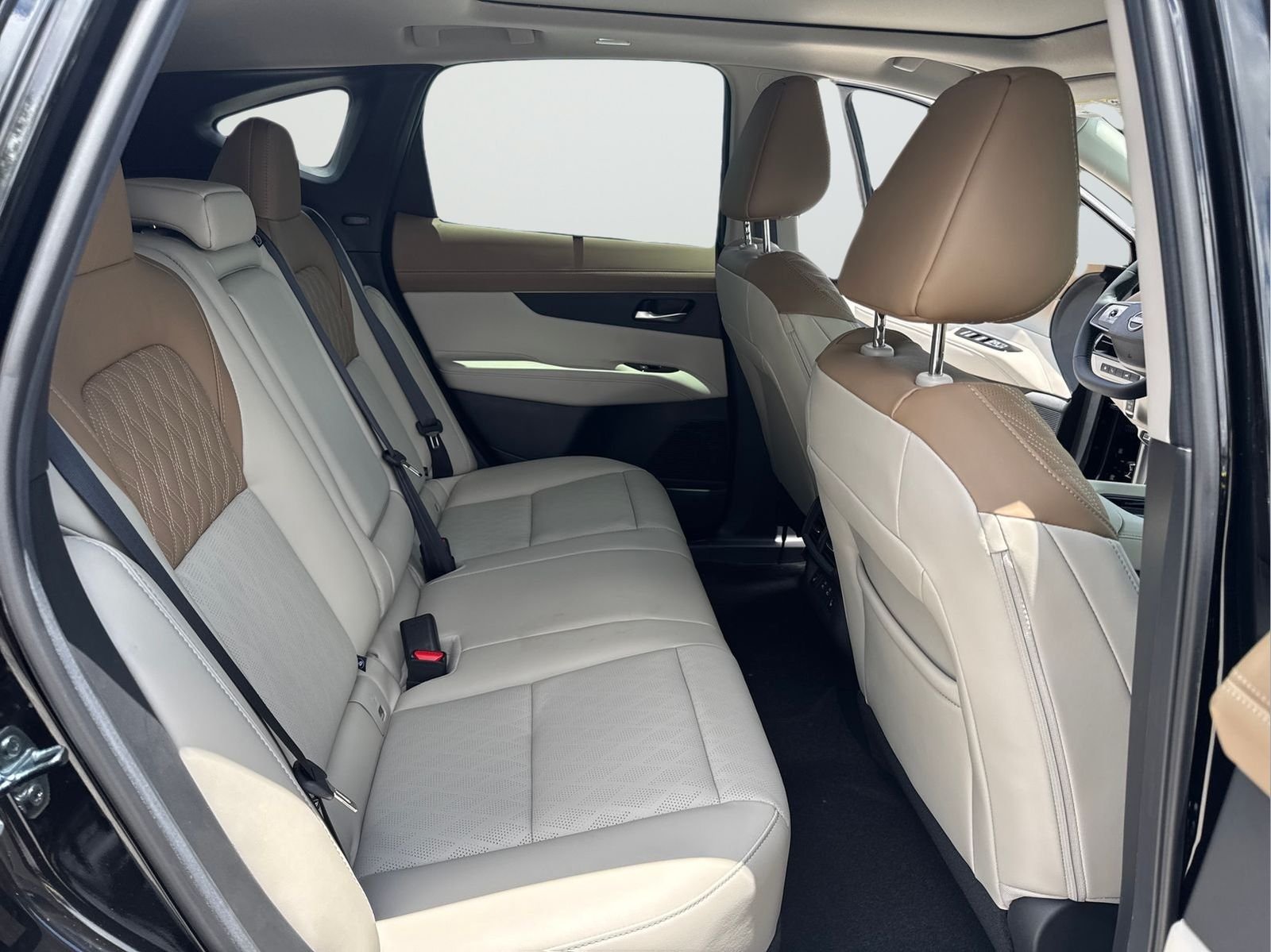 New 2026 Black Nissan Platinum image 40