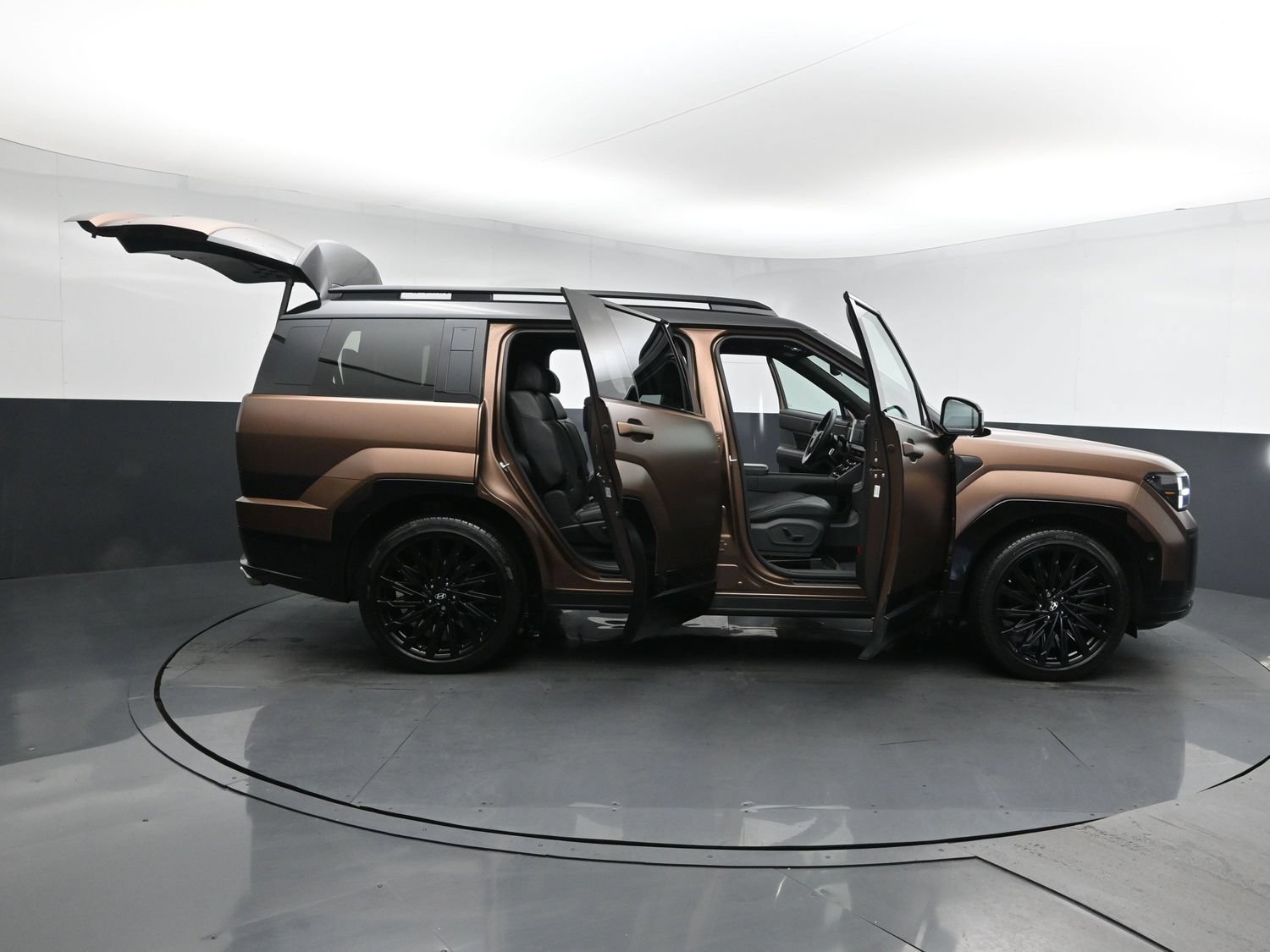Used 2024 Earthy Brass Matte Hyundai Calligraphy image 31