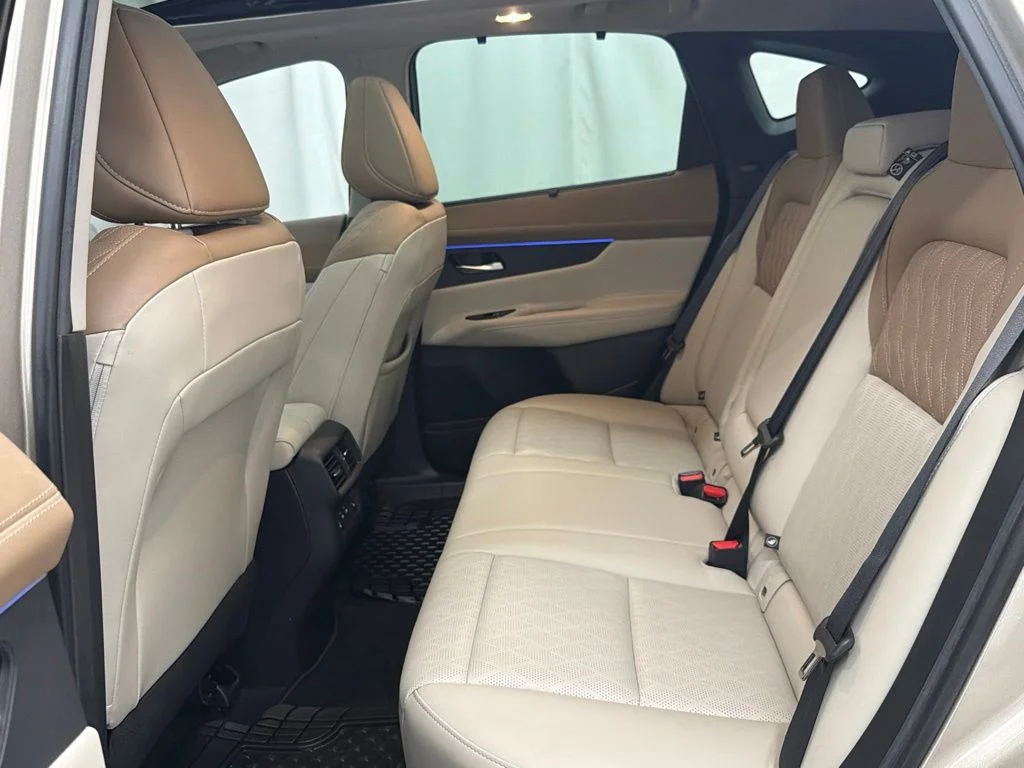 Used 2025 Gold Nissan Platinum image 24