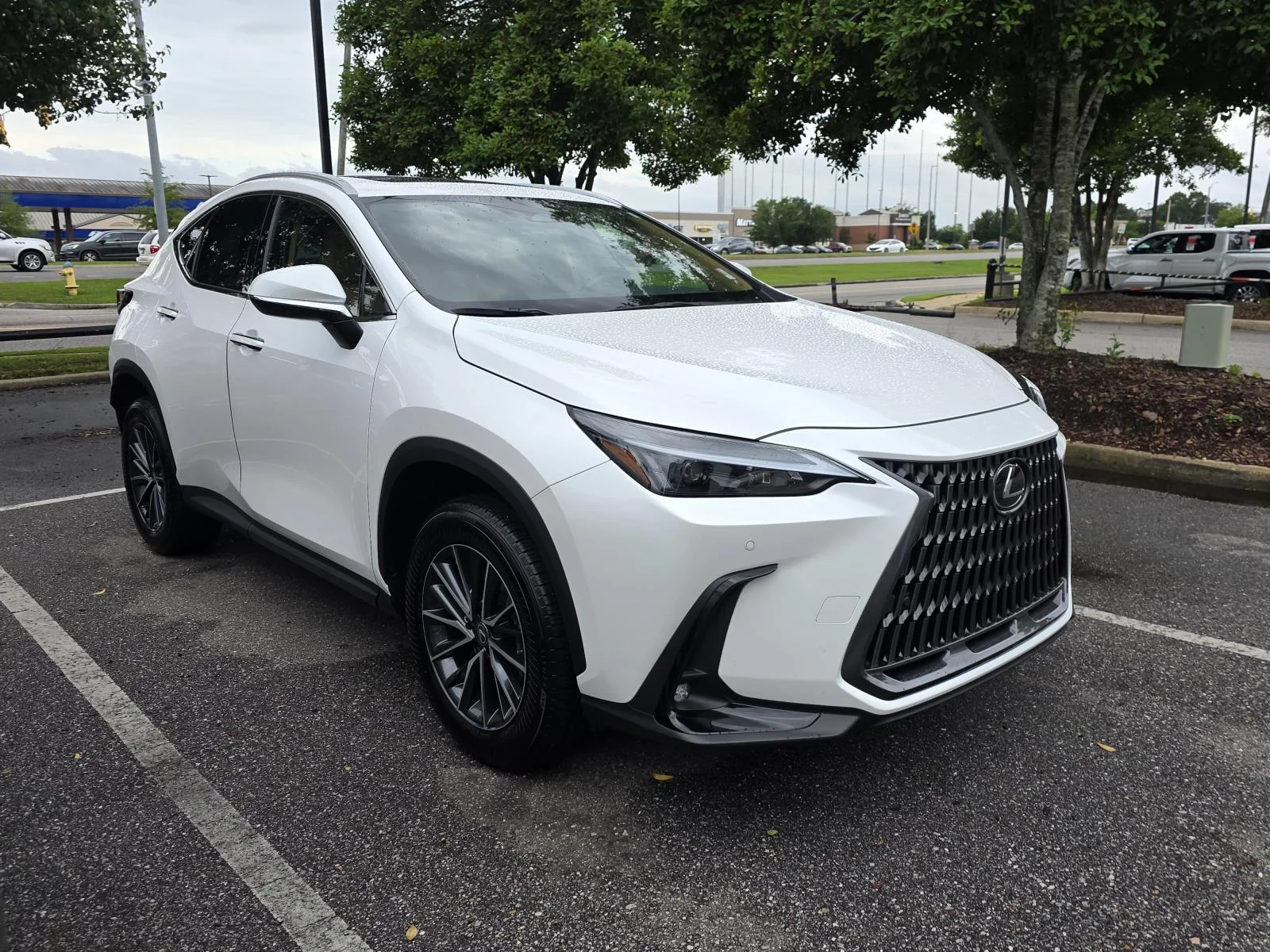 2025 Lexus NX 350 250 Premium FWD's photo