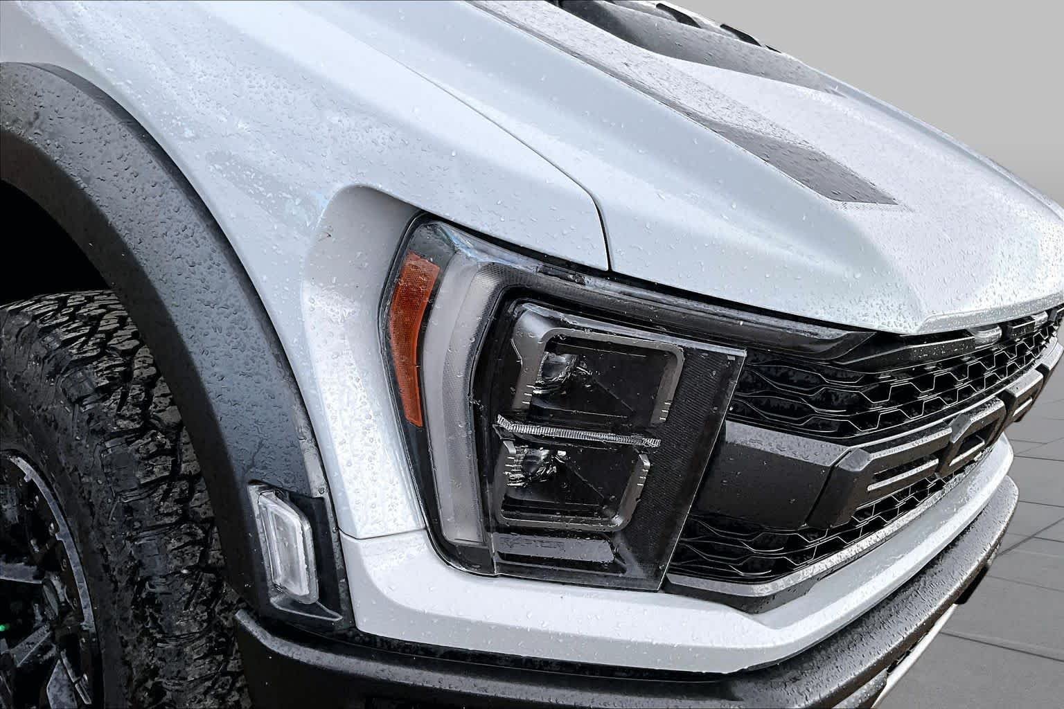 Used 2023 Avalanche Ford Raptor image 25