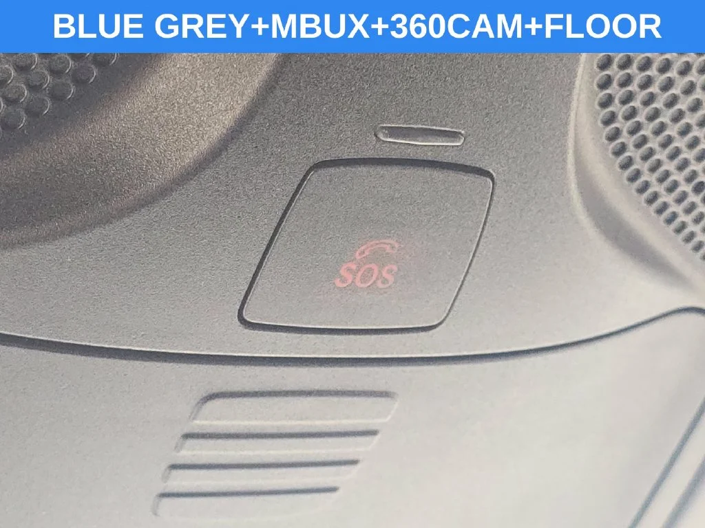 New 2026 Blue Grey Mercedes-Benz Cargo 170 WB image 5