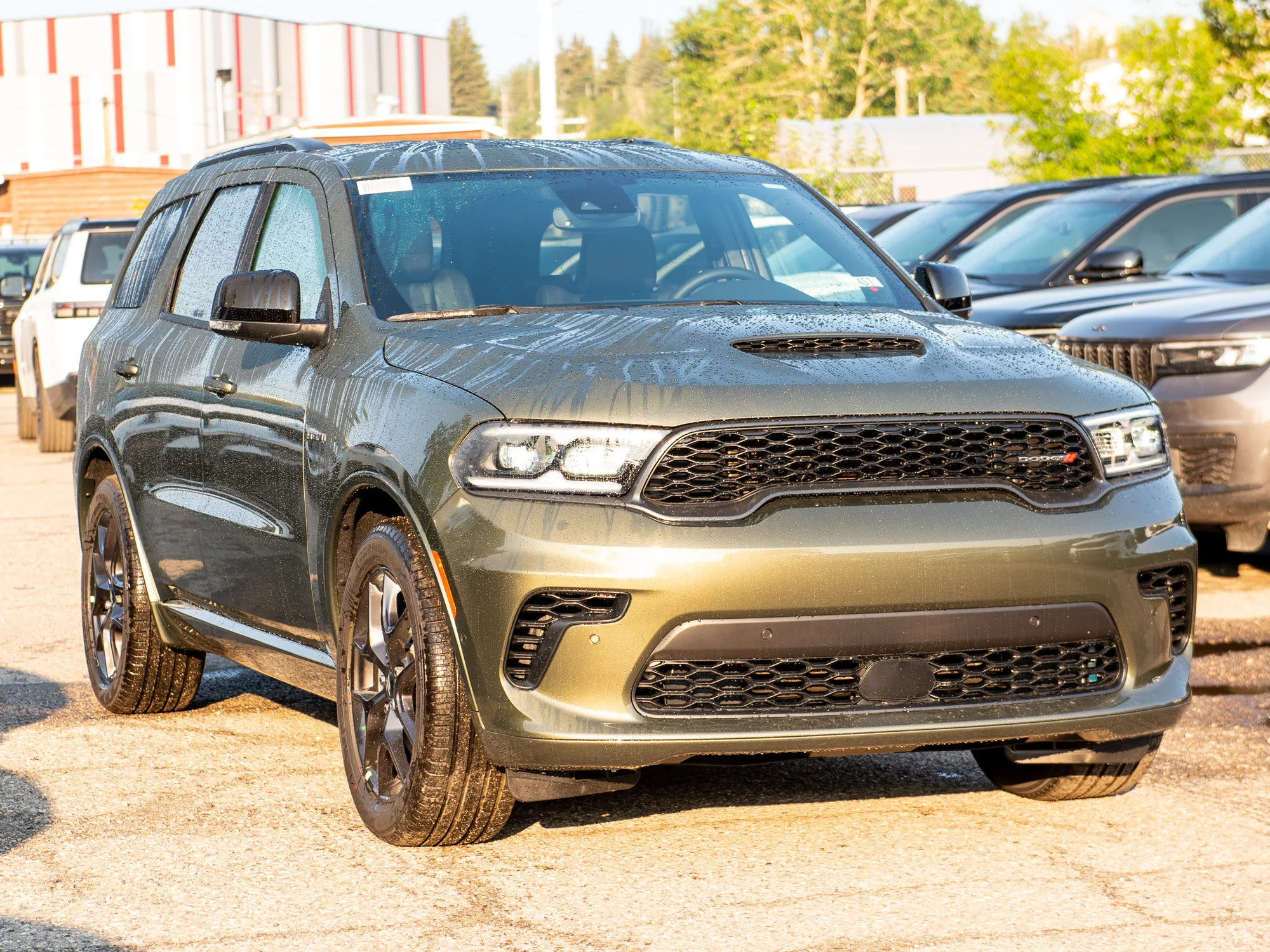 New 2026 Green Dodge GT Plus* HEMI V8 AWD image 6