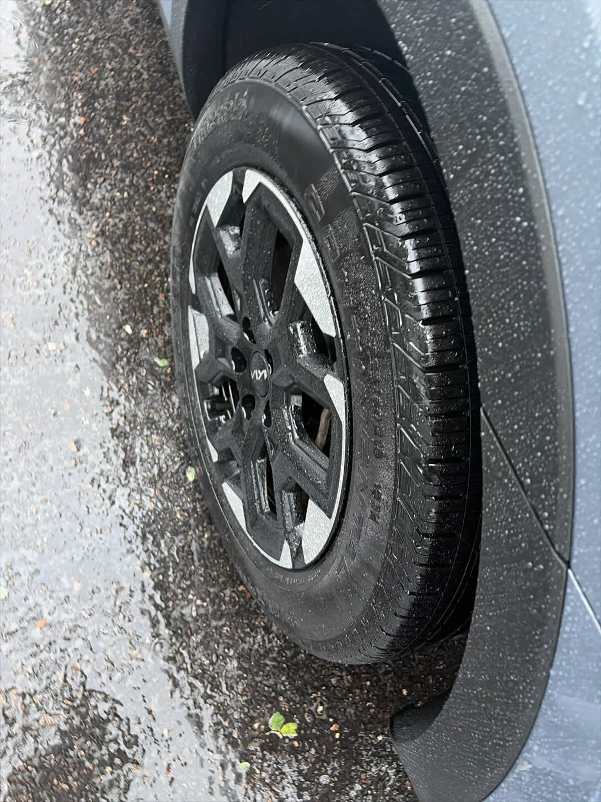 Used 2024 Everlasting Silver Kia S image 12