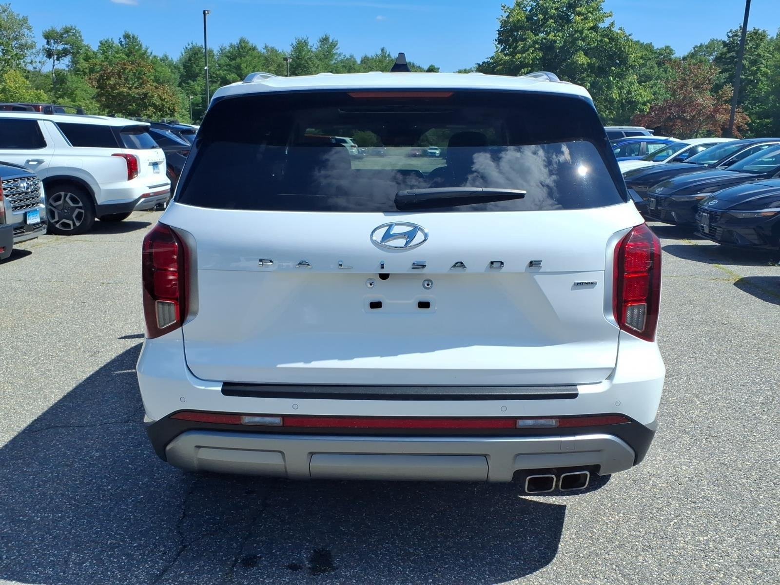 2023 Hyundai Palisade Limited - Photo 6
