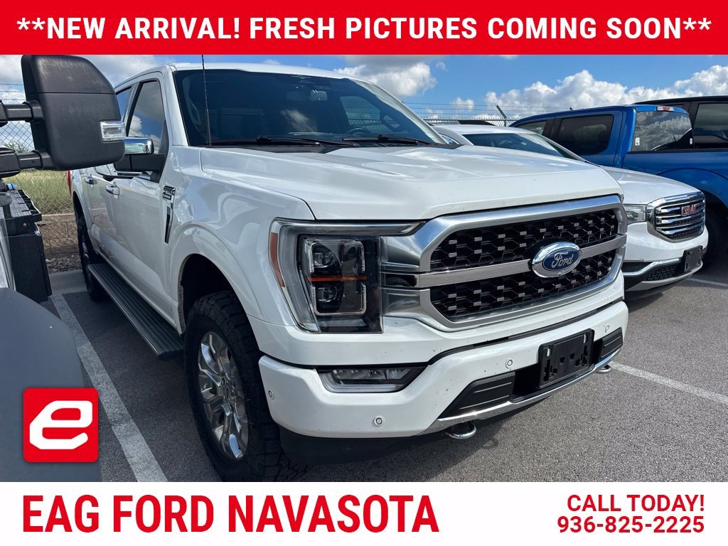 Used 2023 White Ford Platinum image 1