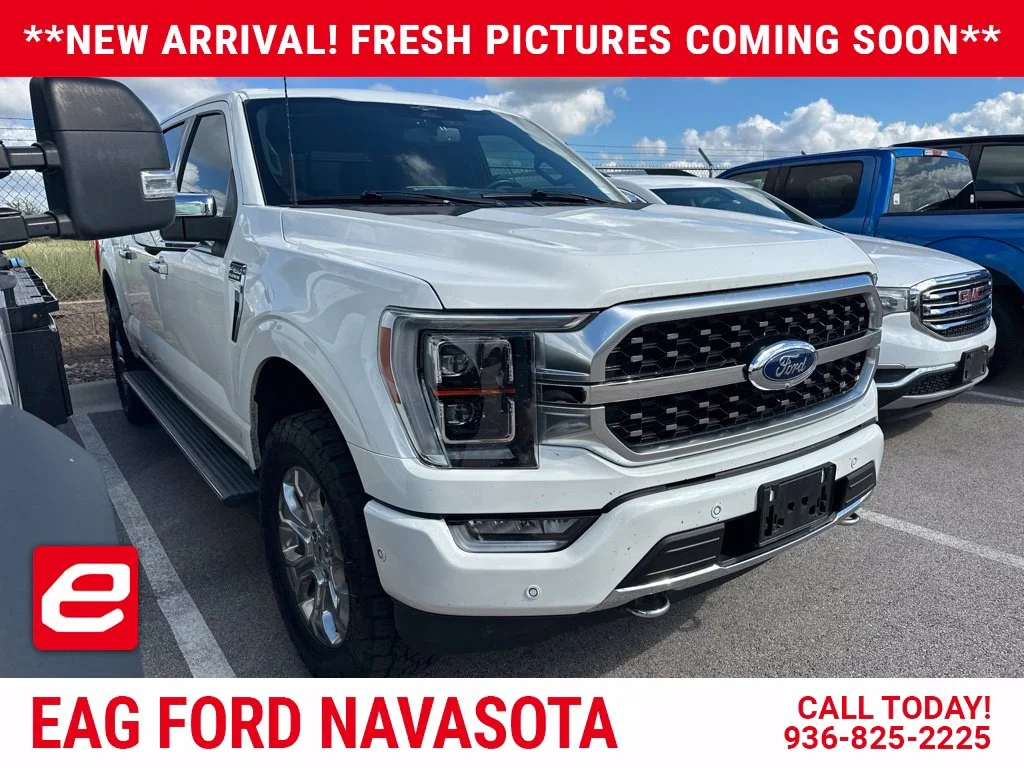Used 2023 White Ford Platinum image 1