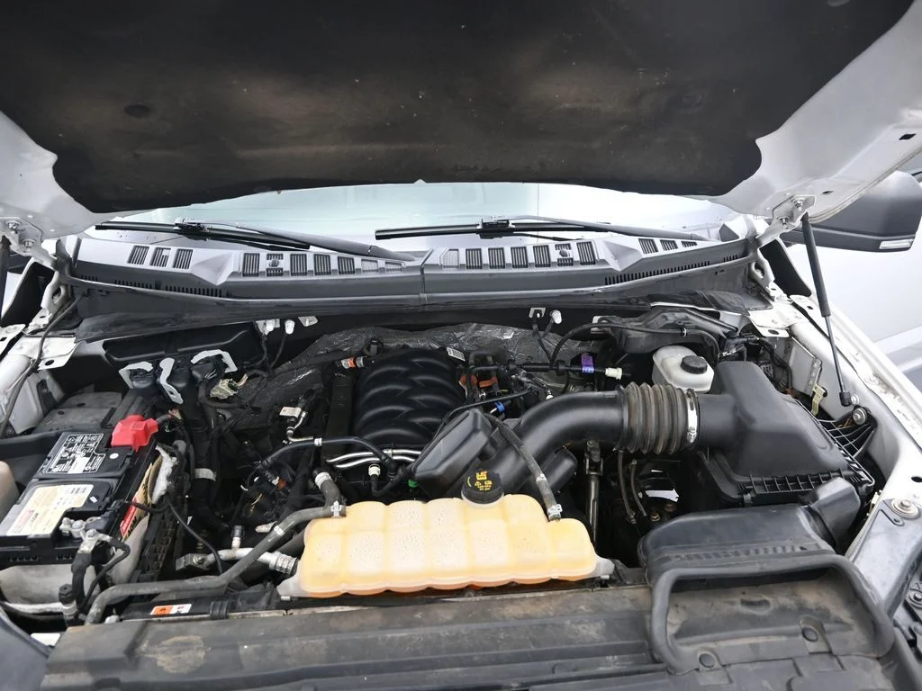 Used 2018 White Ford XLT image 11