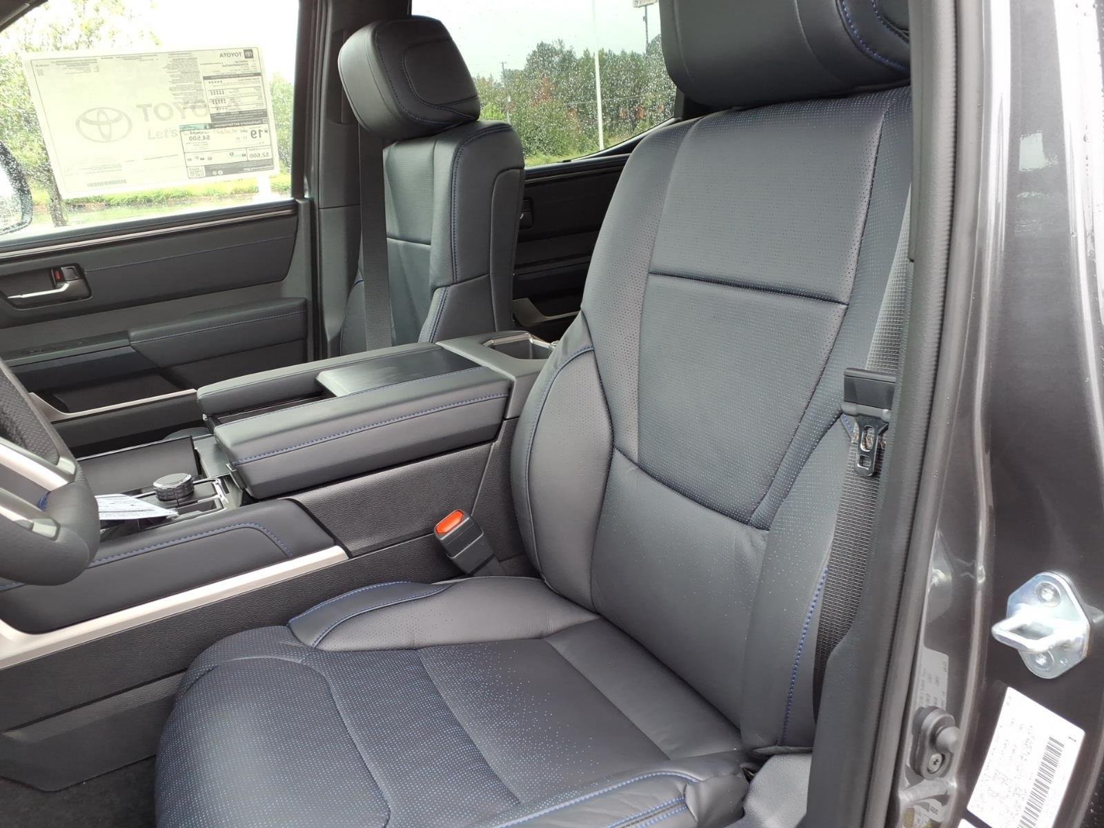 New 2026 Magnetic Gray Metallic Toyota Platinum image 22