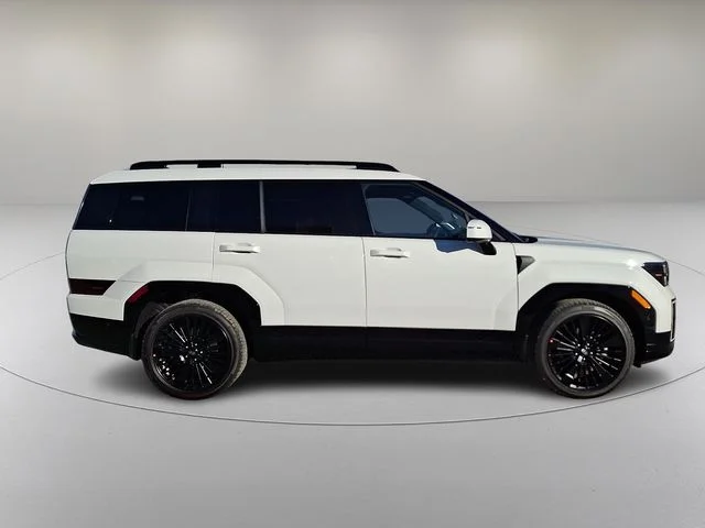 New 2026 White Hyundai Calligraphy image 8