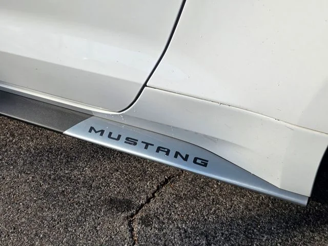 2018 Ford Mustang EcoBoost - Photo 9