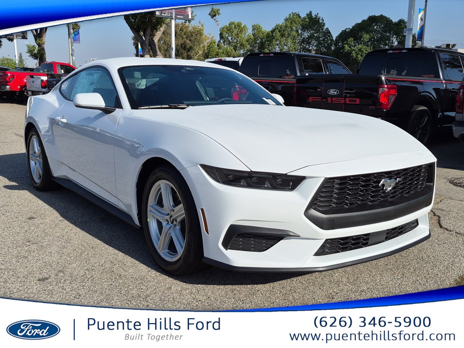New 2026 Oxford White Ford EcoBoost® Fastback image 1