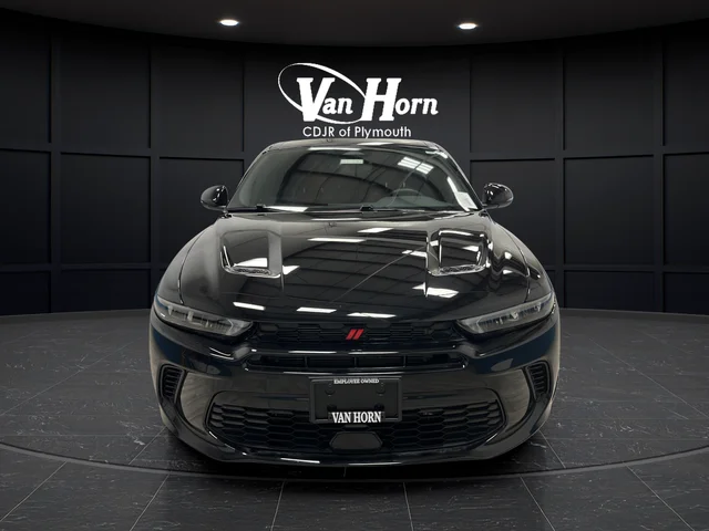 ZACNDFAN0R3A38950