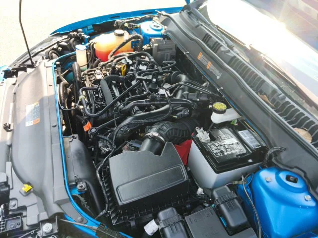 Used 2019 Blue Ford SE image 11
