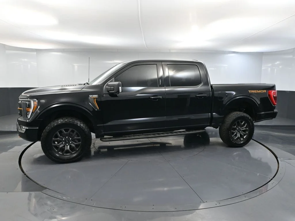 2023 Ford F-150 Tremor - Photo 10