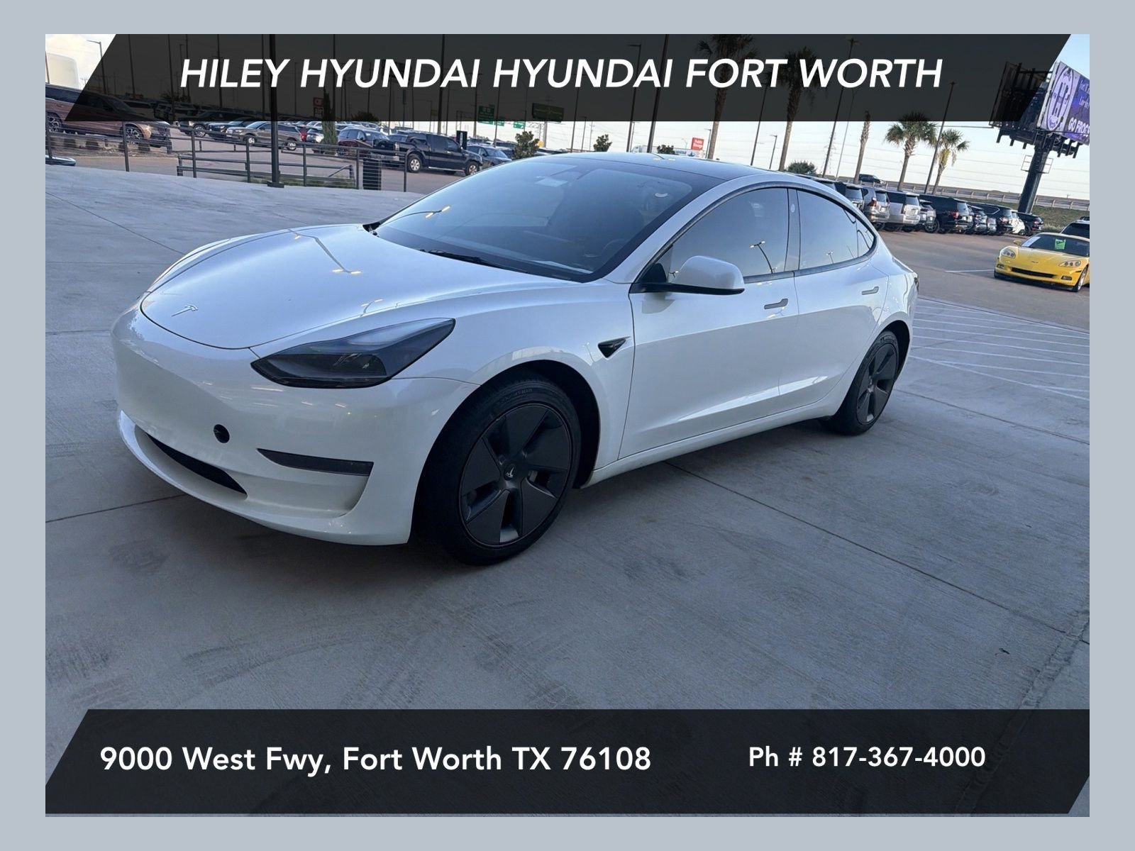2023 Tesla Model 3 -'s photo