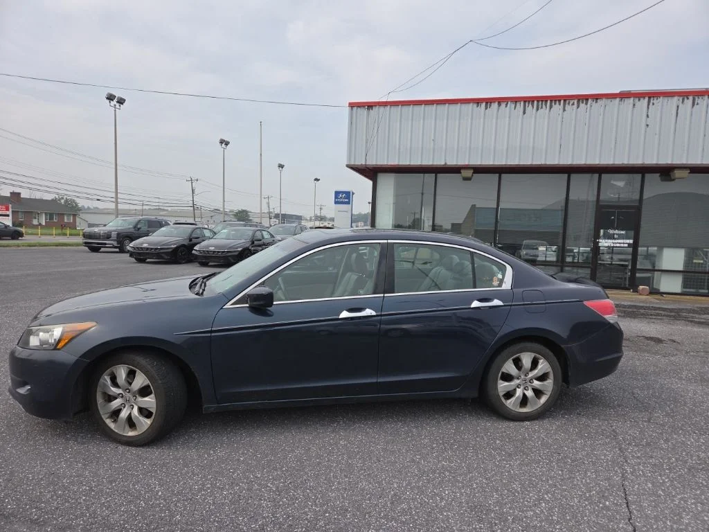 Used 2010 Blue Honda EX-L image 7