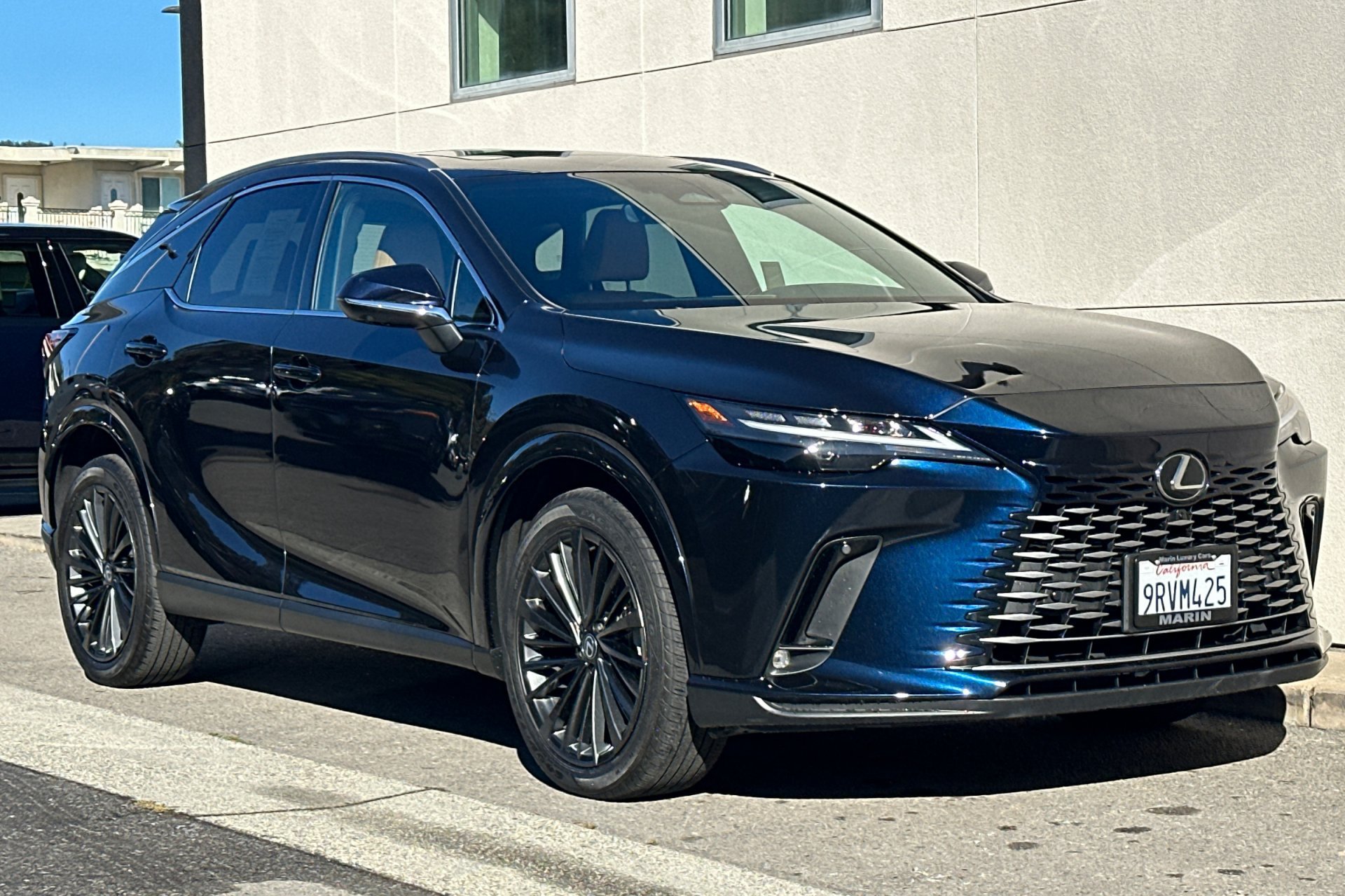 2025 Lexus RX 350 - Photo 9