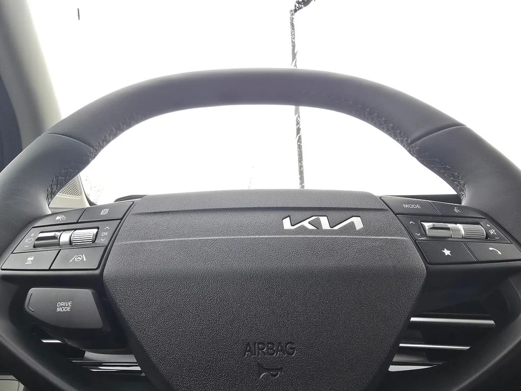 New 2026 Panthera Metal Kia EX image 25