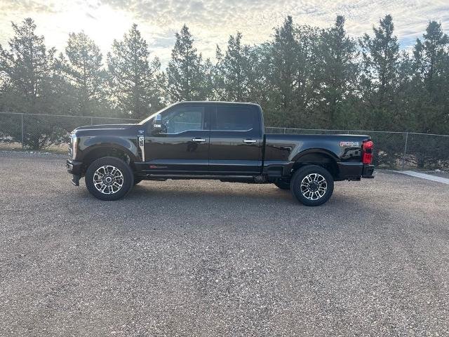 New 2026 Agate Black Metallic Ford Platinum image 45
