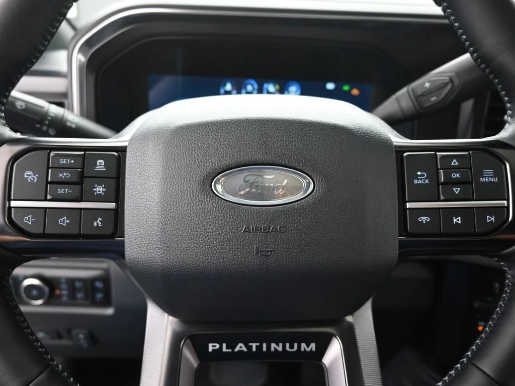 New 2026 Carbonized Gray Metallic Ford Platinum image 12
