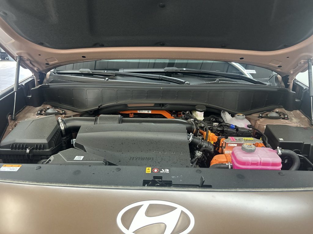 New 2026 Earthy Brass Matte Hyundai Calligraphy image 35