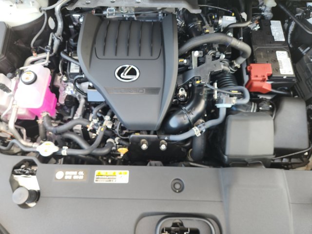 New 2026 Eminent White Pearl Lexus PREMIUM image 27