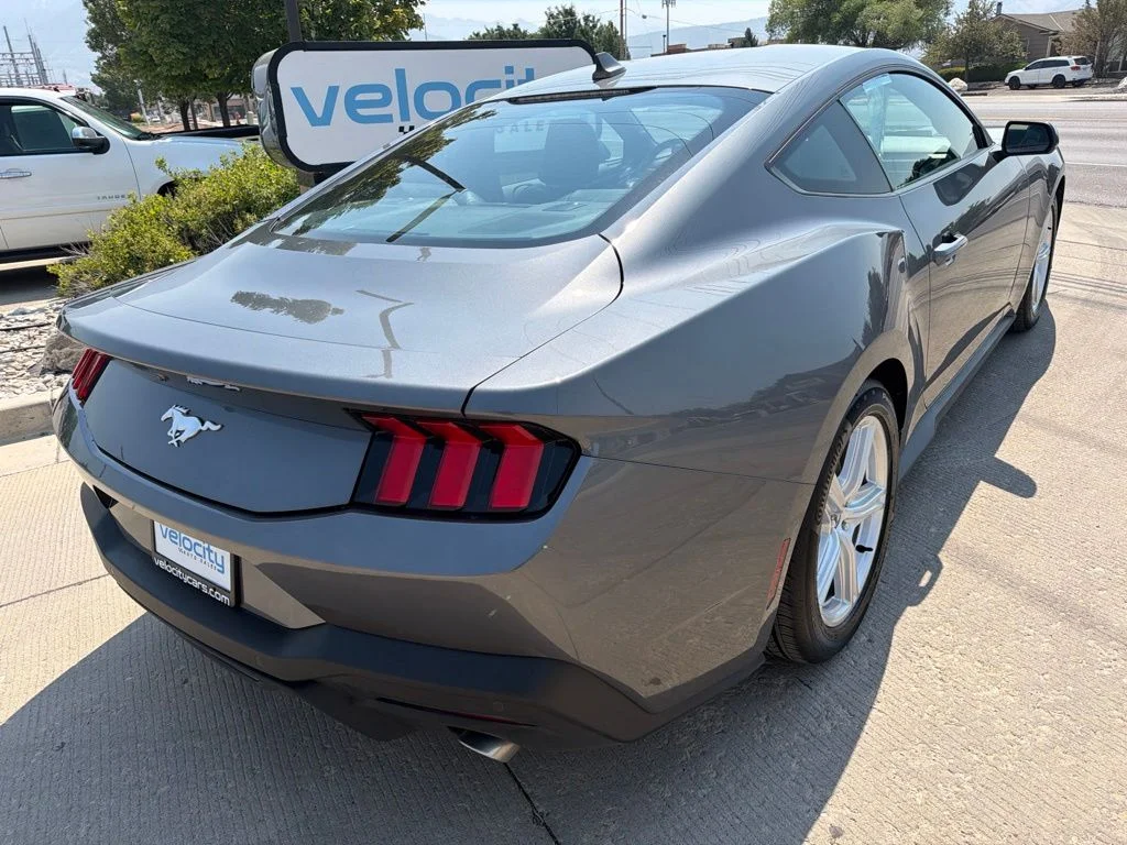Used 2026 Gray Ford EcoBoost Premium image 7