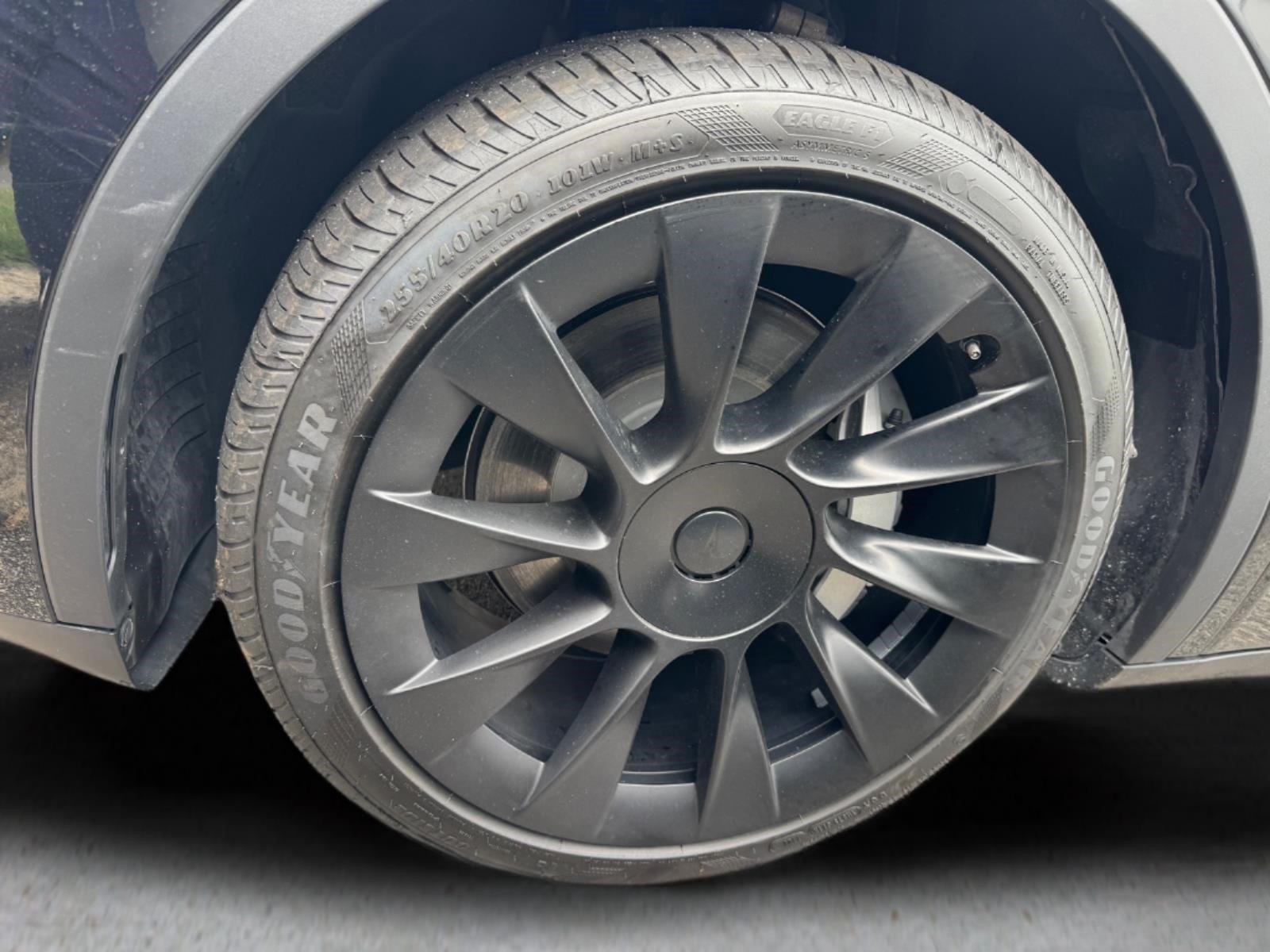 Used 2023  TESLA  image 3