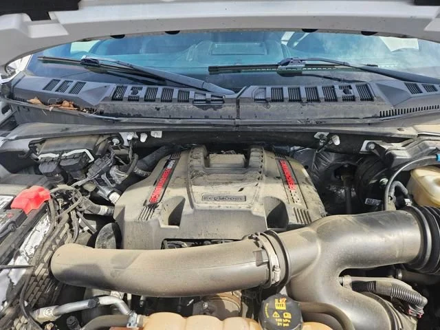 Used 2019 White Ford Raptor image 22
